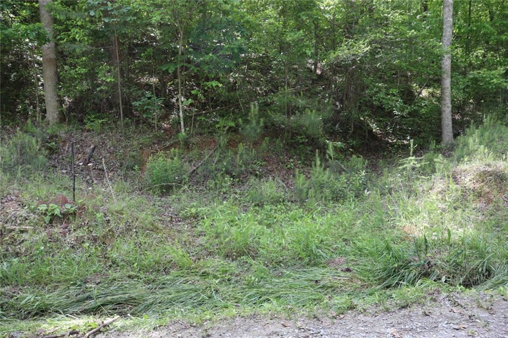 0 Parksbrook Road A Ellijay GA 30540