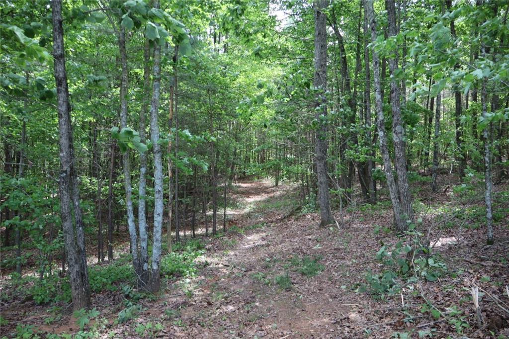 0 Parksbrook Road A Ellijay GA 30540