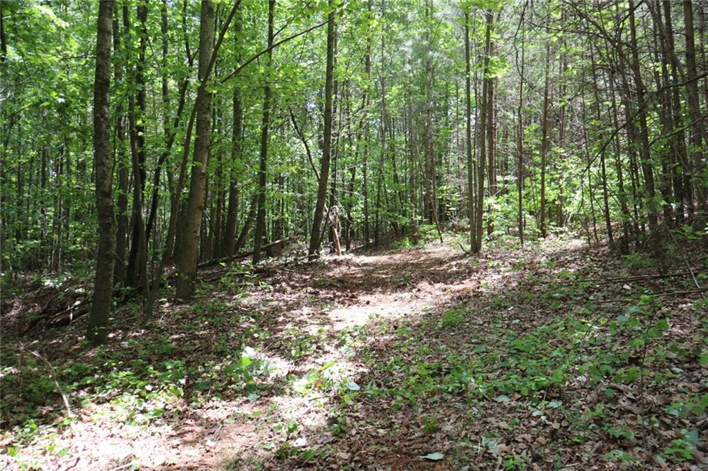 0 Parksbrook Road A Ellijay GA 30540