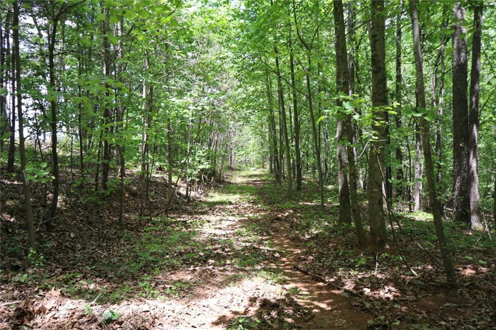 0 Parksbrook Road A Ellijay GA 30540