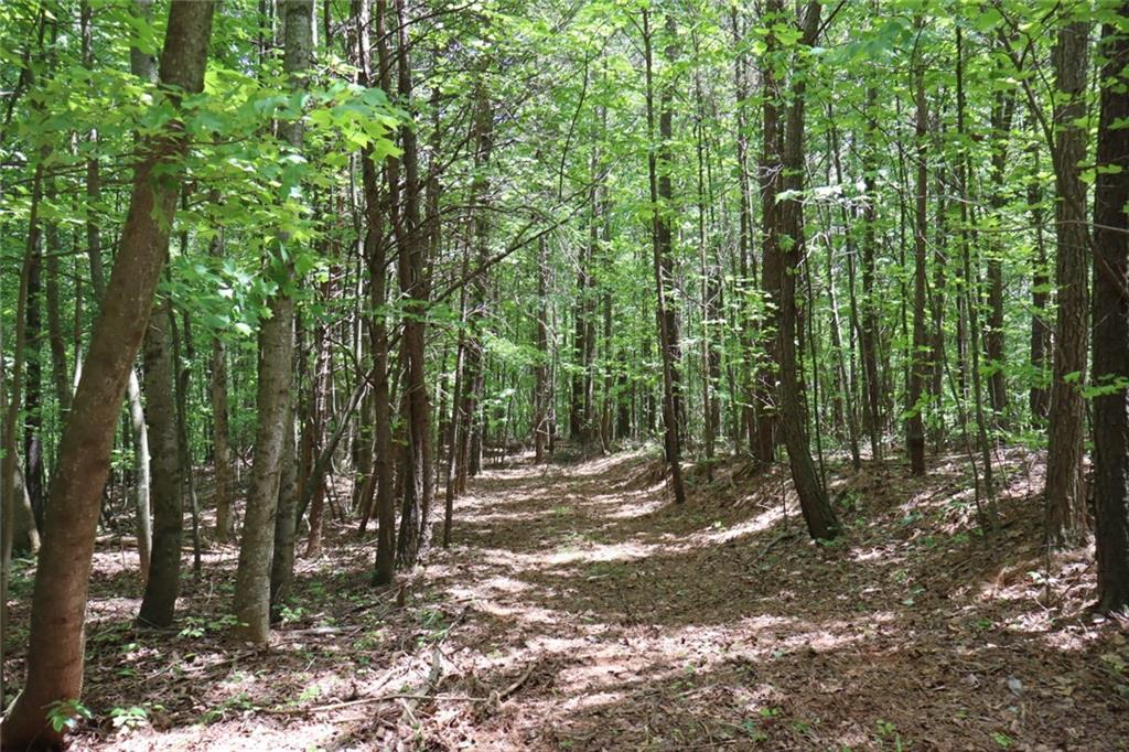 0 Parksbrook Road A Ellijay GA 30540