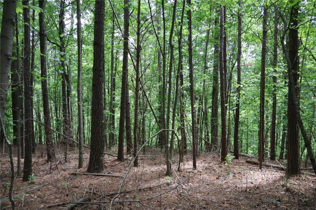 0 Parksbrook Road A Ellijay GA 30540