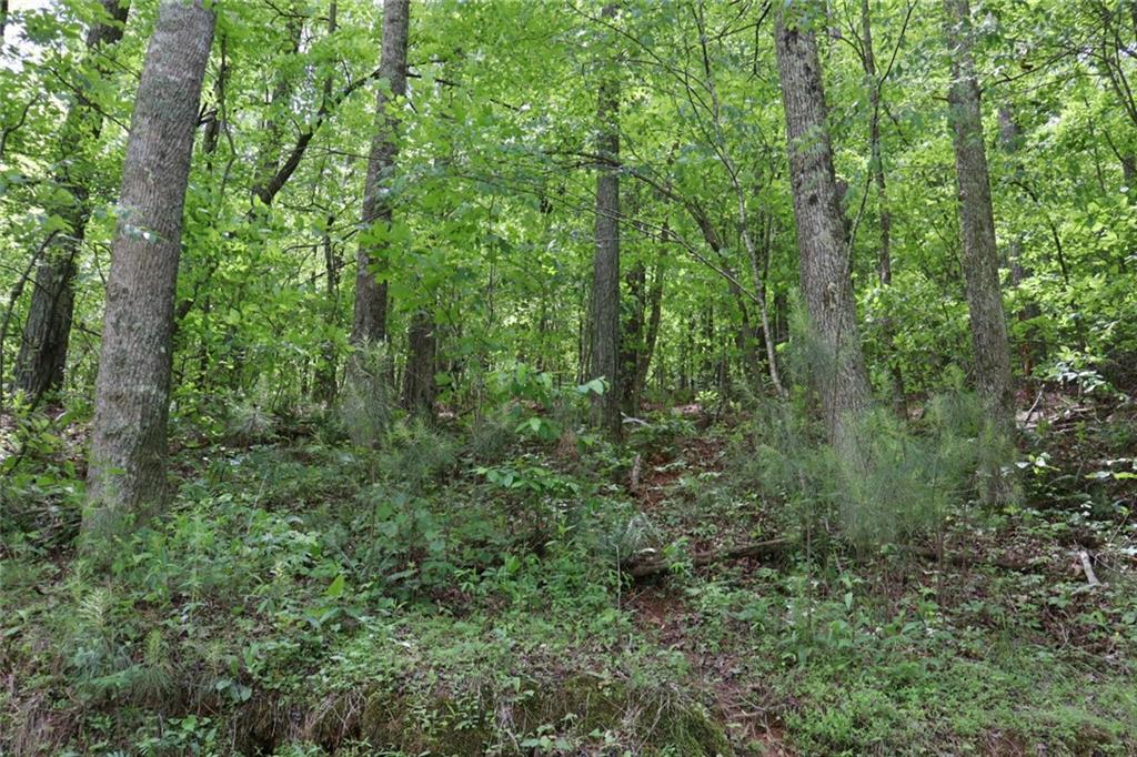 0 Parksbrook Road A Ellijay GA 30540