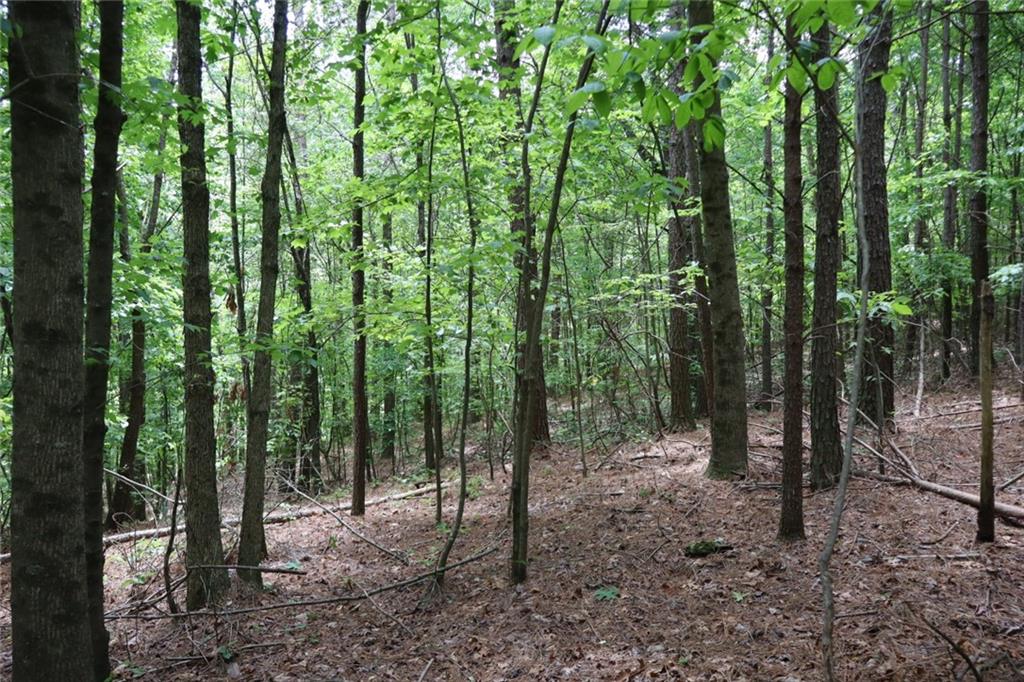 0 Parksbrook Road A Ellijay GA 30540