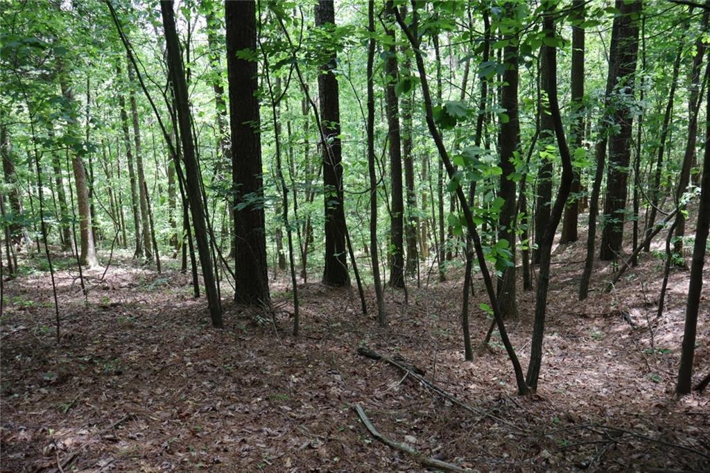 0 Parksbrook Road A Ellijay GA 30540