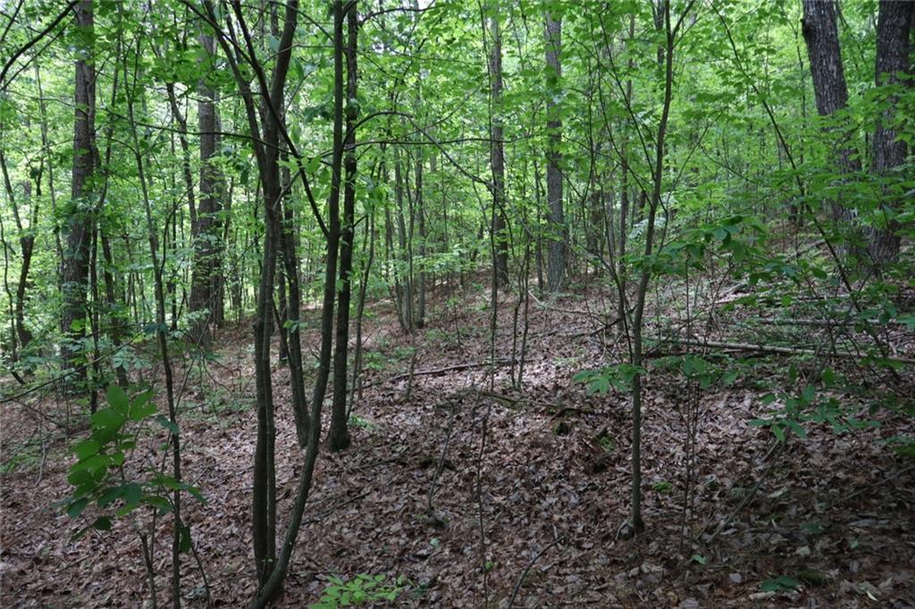 0 Parksbrook Road A Ellijay GA 30540