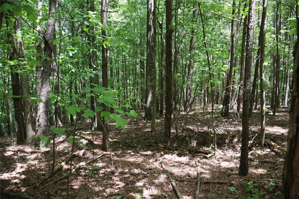 0 Parksbrook Road A Ellijay GA 30540