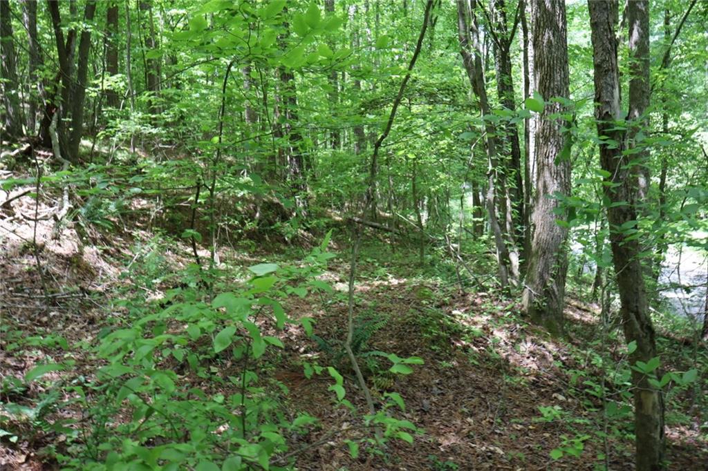 0 Parksbrook Road A Ellijay GA 30540
