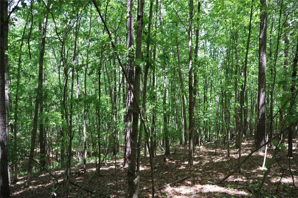 0 Parksbrook Road A Ellijay GA 30540