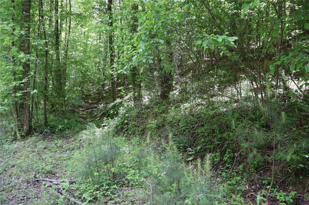 0 Parksbrook Road A Ellijay GA 30540