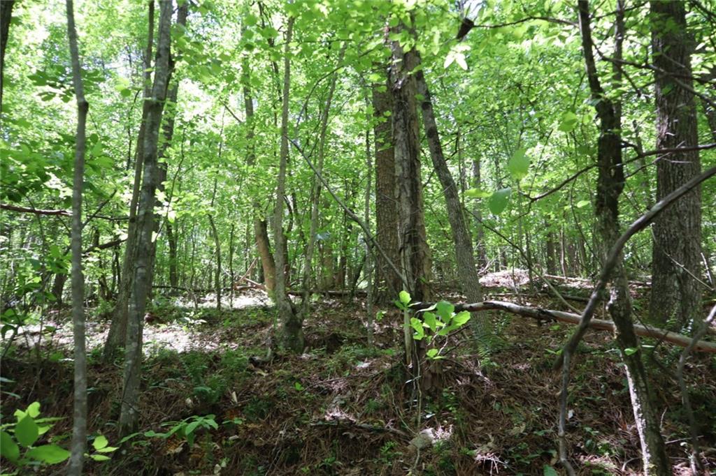 0 Parksbrook Road A Ellijay GA 30540