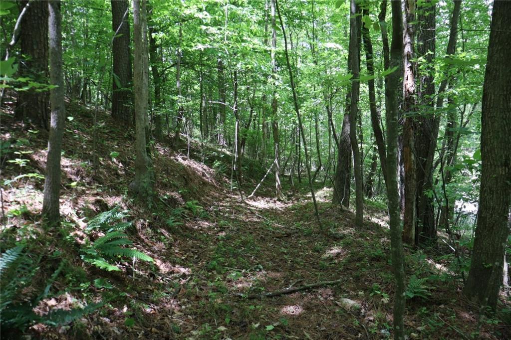0 Parksbrook Road A Ellijay GA 30540