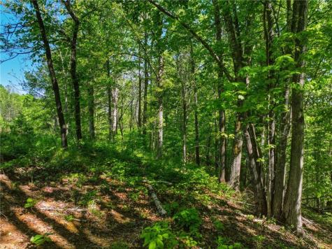 Lot 6 Summit Drive Dahlonega GA 30533