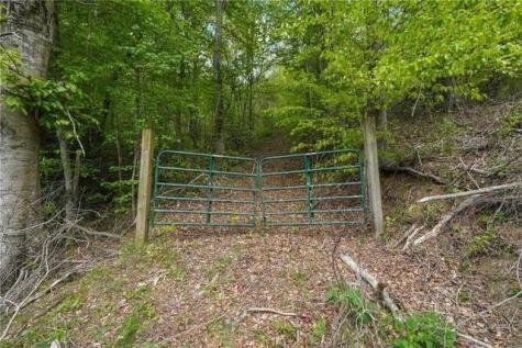 000 Auraria Road Dahlonega GA 30533