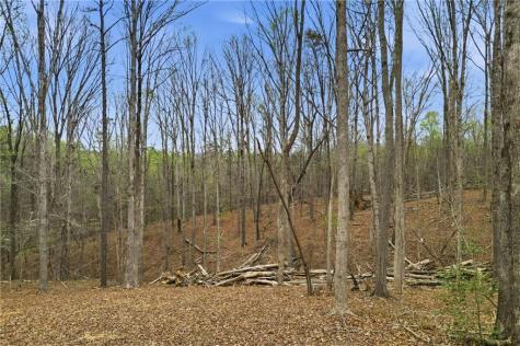 0 Carlan Road Jasper GA 30143