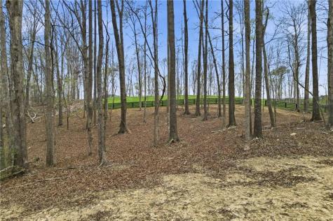 0 Carlan Road Jasper GA 30143