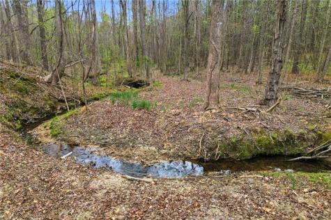 0 Carlan Road Jasper GA 30143
