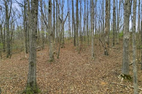 0 Carlan Road Jasper GA 30143