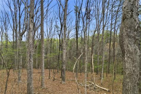 0 Carlan Road Jasper GA 30143