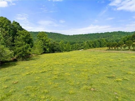 00 Freeman View Trail Cleveland GA 30528