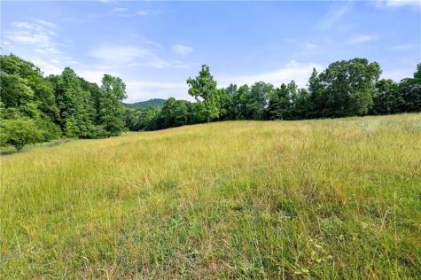 00 Freeman View Trail Cleveland GA 30528