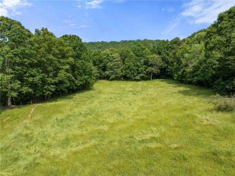 00 Freeman View Trail Cleveland GA 30528