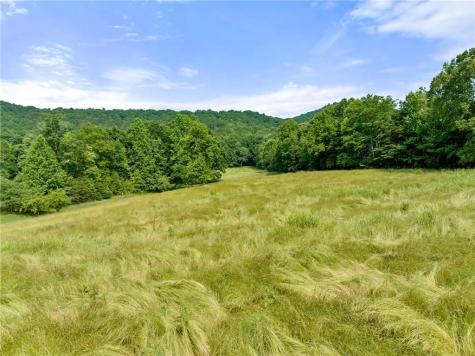00 Freeman View Trail Cleveland GA 30528