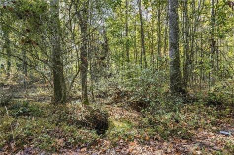 3627 Westmoreland Road Cleveland GA 30528