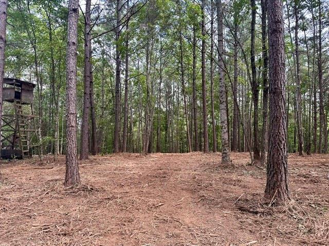 130 Patriot View Drive Dahlonega GA 30533