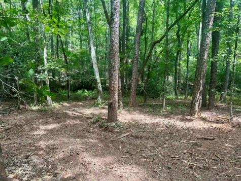 130 Patriot View Drive Dahlonega GA 30533