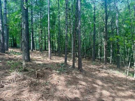 130 Patriot View Drive Dahlonega GA 30533