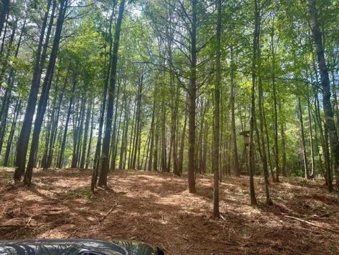 130 Patriot View Drive Dahlonega GA 30533