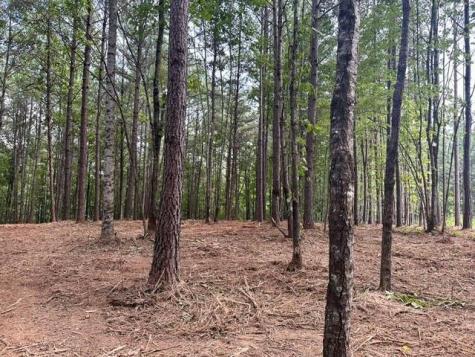 130 Patriot View Drive Dahlonega GA 30533