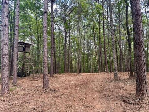 130 Patriot View Drive Dahlonega GA 30533