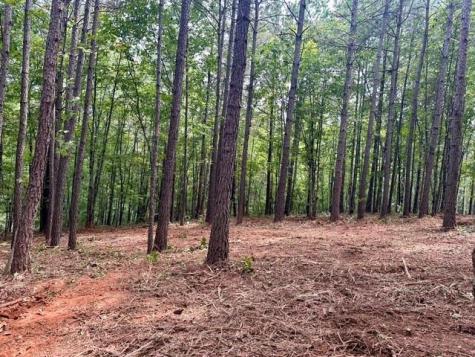 130 Patriot View Drive Dahlonega GA 30533