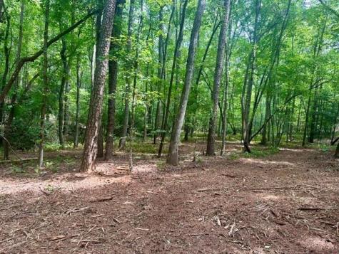 130 Patriot View Drive Dahlonega GA 30533