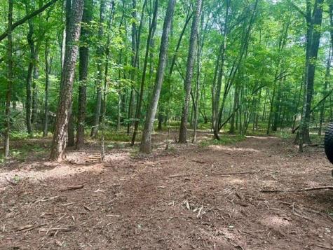 130 Patriot View Drive Dahlonega GA 30533