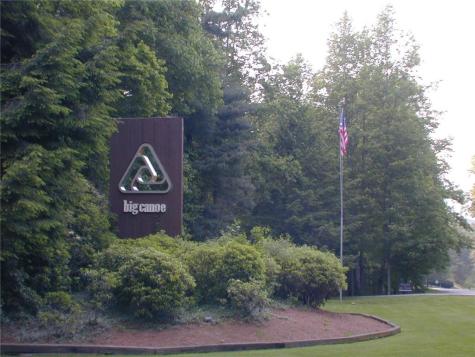 8266 Cox Mountain Drive Big Canoe GA 30143