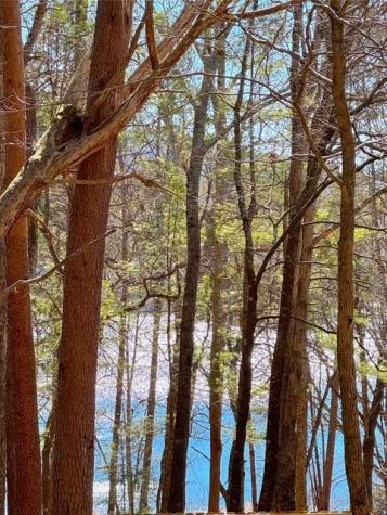 00 Horse Cove Court Jasper GA 30143