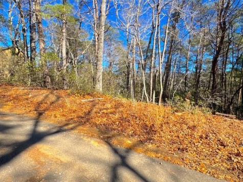 00 Horse Cove Court Jasper GA 30143