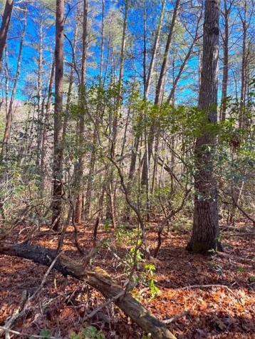 00 Horse Cove Court Jasper GA 30143