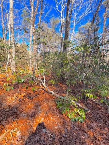 00 Horse Cove Court Jasper GA 30143