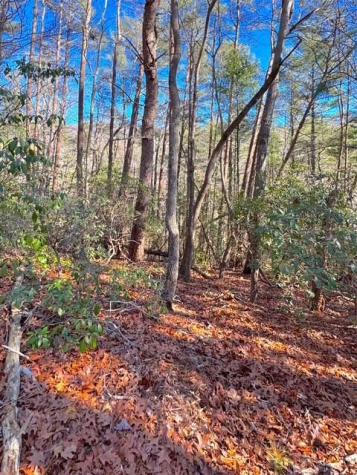 00 Horse Cove Court Jasper GA 30143