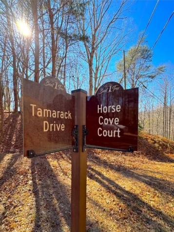 00 Horse Cove Court Jasper GA 30143