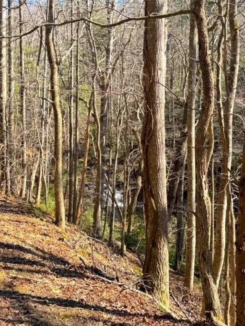 00 Horse Cove Court Jasper GA 30143