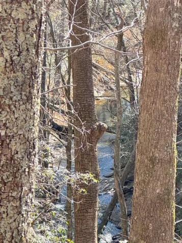 00 Horse Cove Court Jasper GA 30143