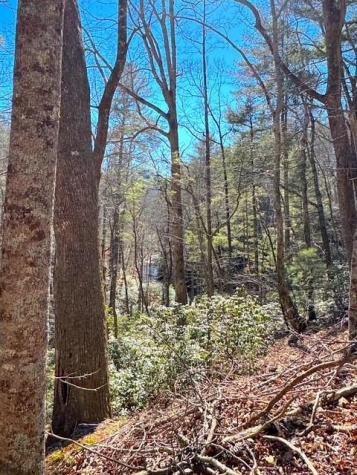 00 Horse Cove Court Jasper GA 30143