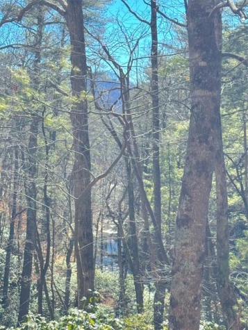 00 Horse Cove Court Jasper GA 30143