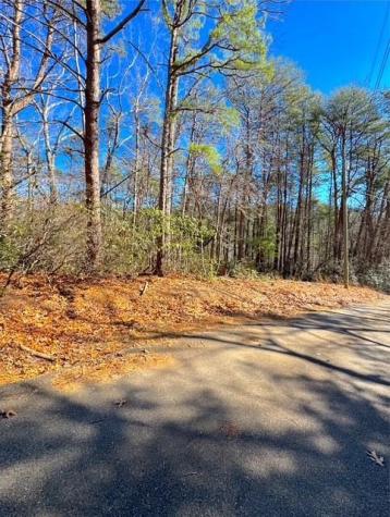 00 Horse Cove Court Jasper GA 30143