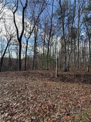 0 Orchard Road Jasper GA 30143